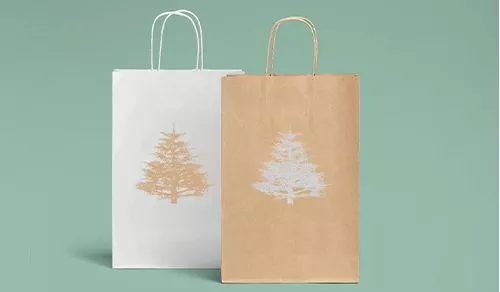 Custom-Kraft-paper-bags